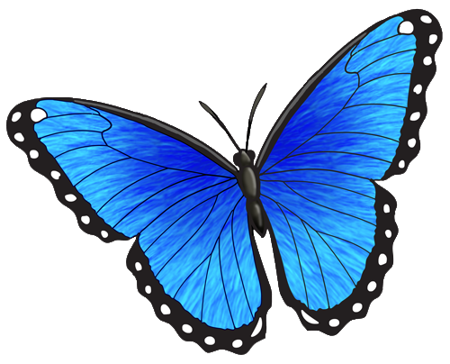The Wings of the Butterfly